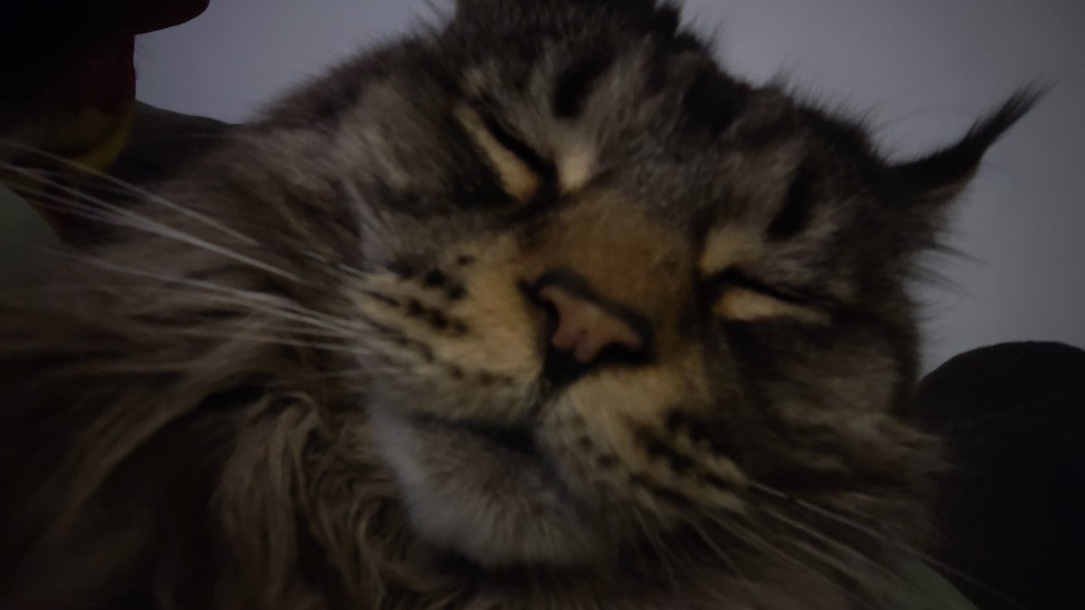 El Guerrero Faygo tweet media