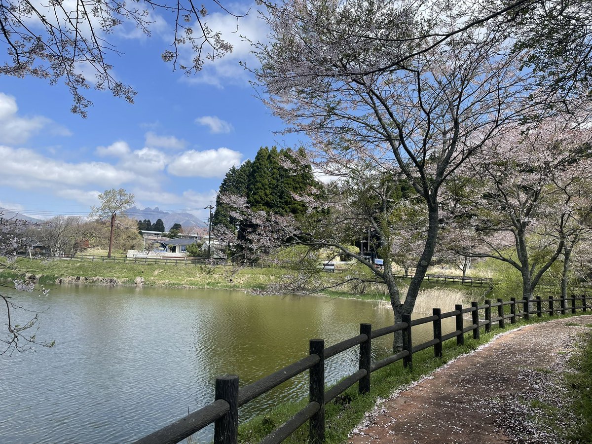 あーちゃん@Beans Rider tweet media