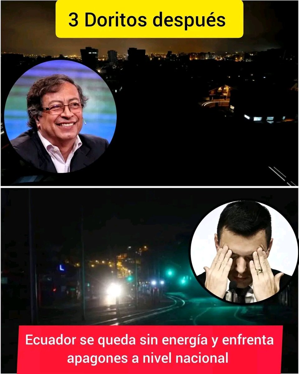 Ave Fénix tweet media