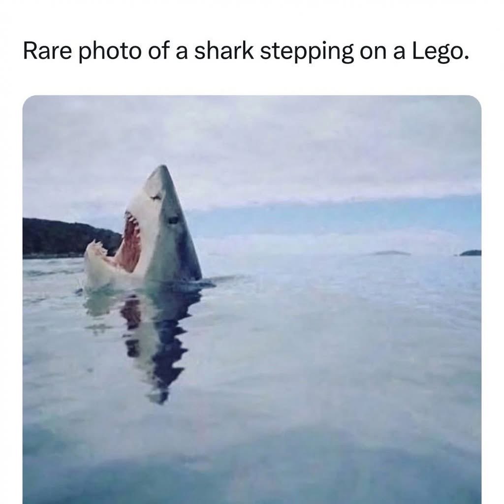 Christy 💕 tweet media