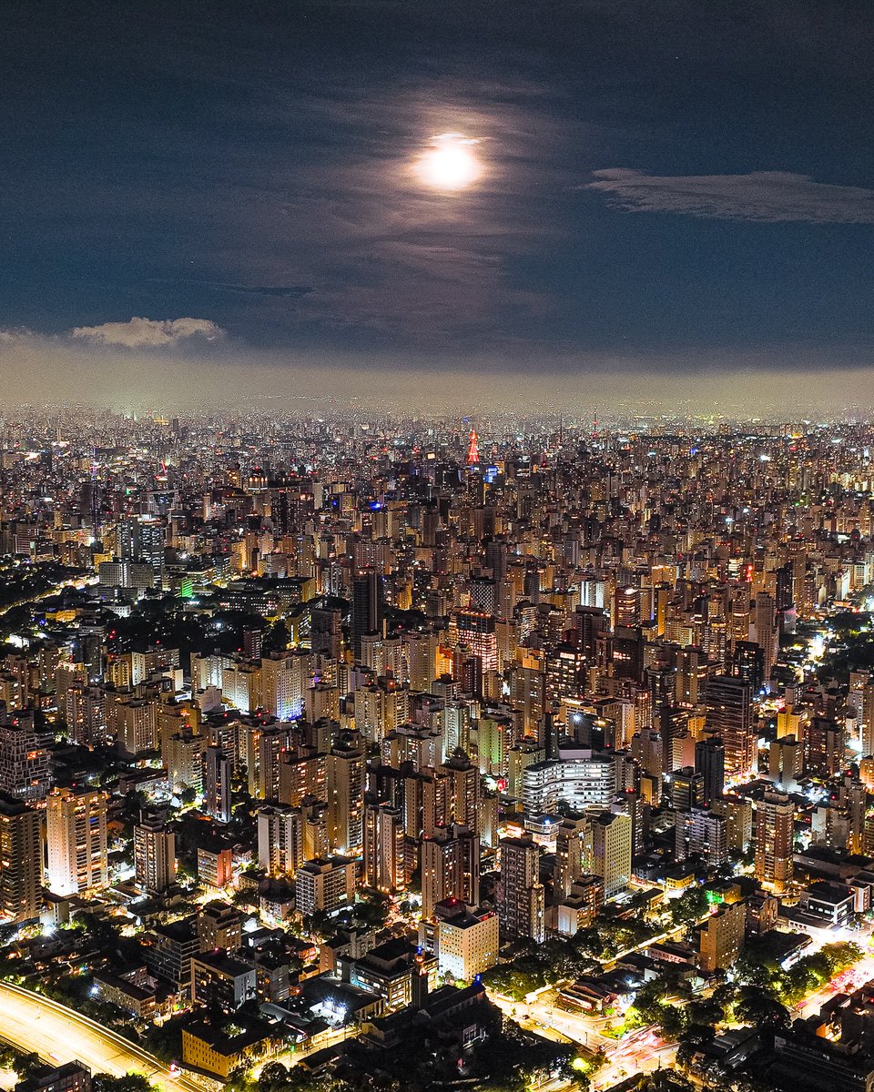 City Lights tweet media