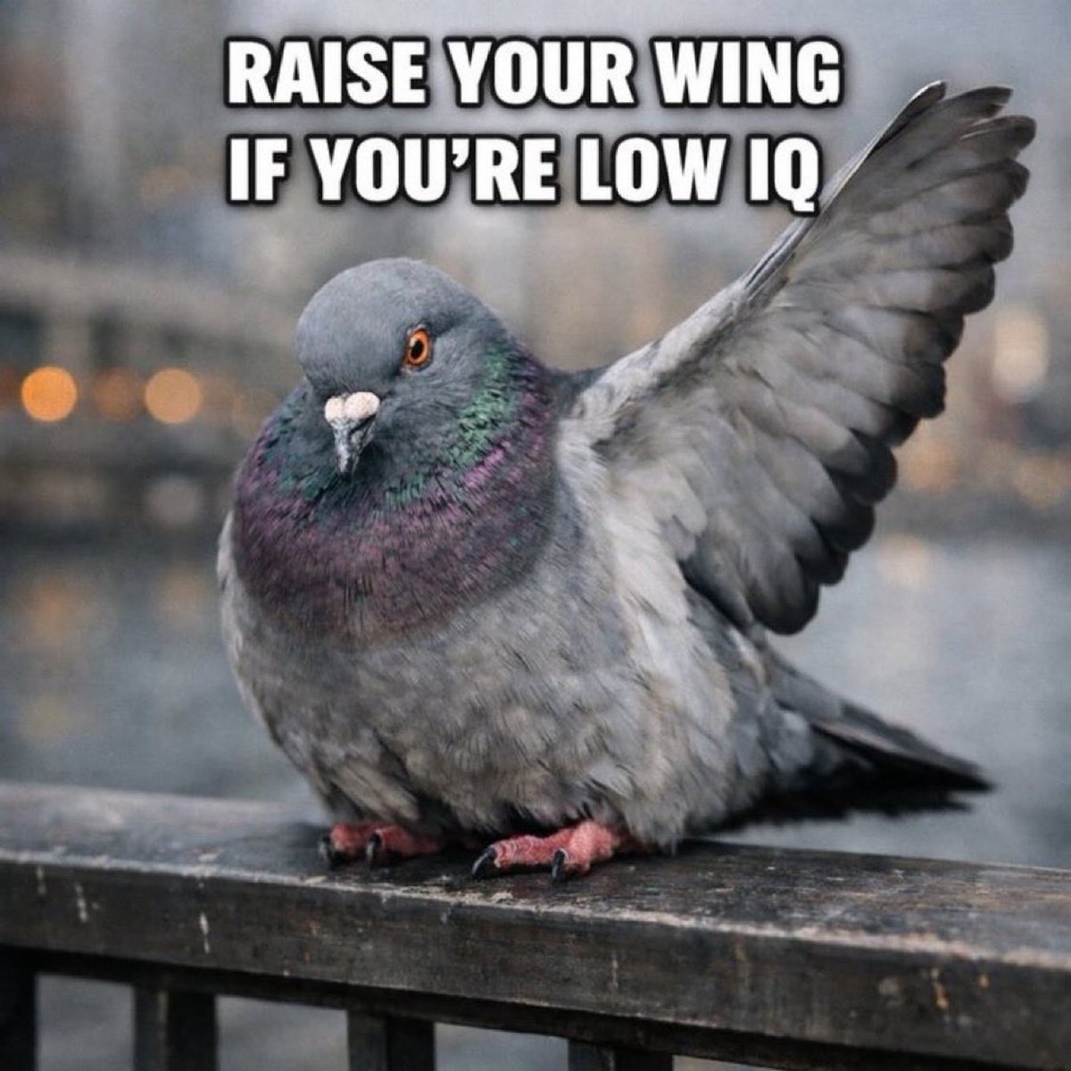 JustAMillionaire tweet media