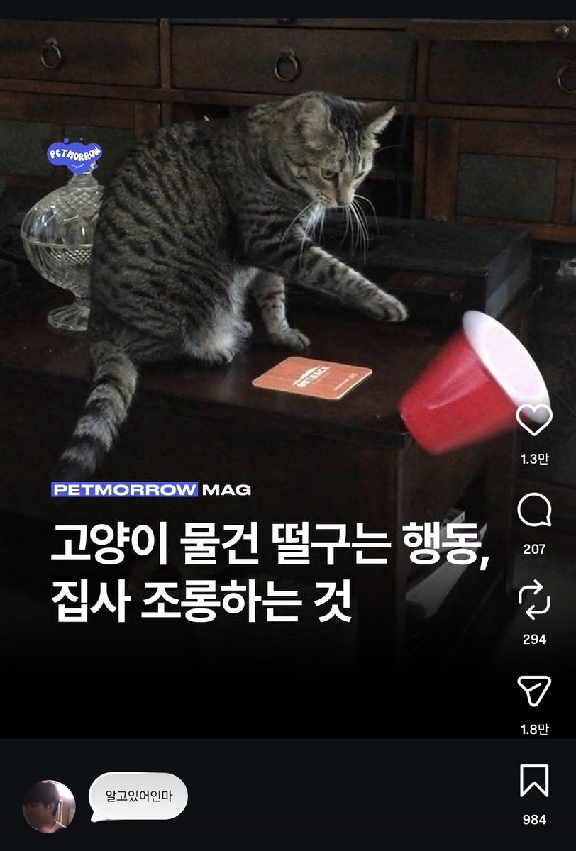 이치디 tweet media