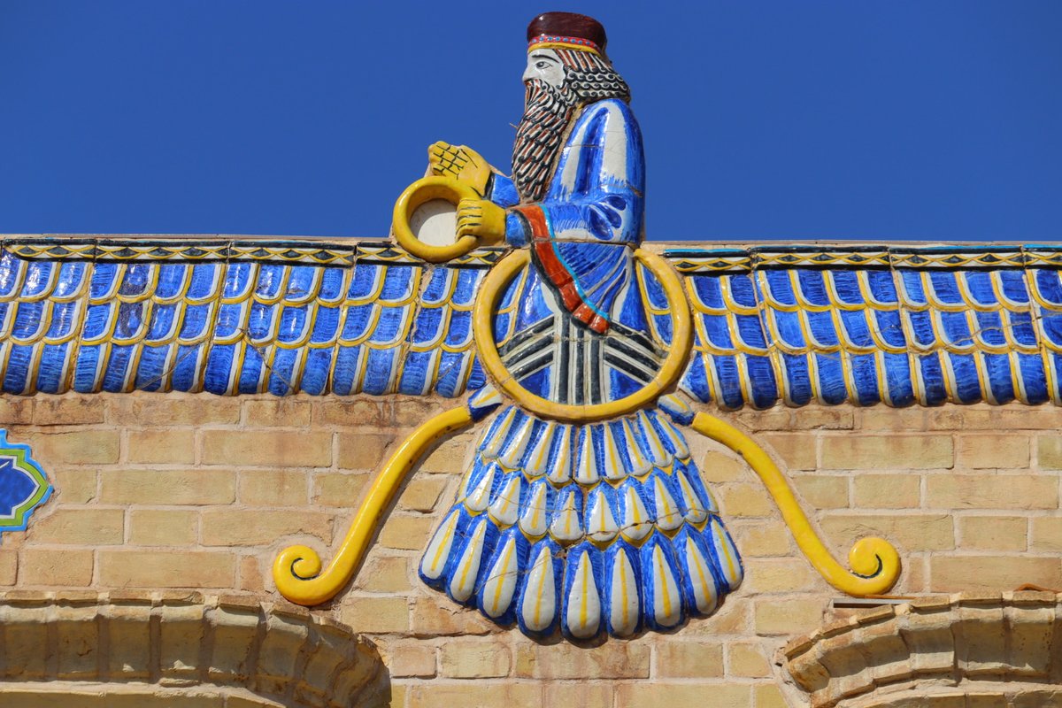 コウ🌿 tweet media