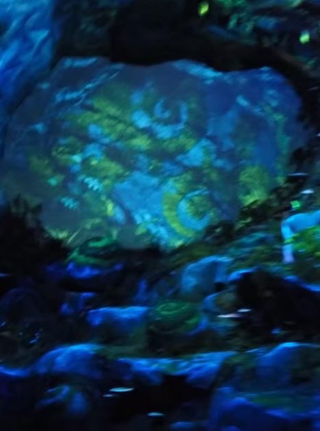 ショーベースの亡霊 tweet media