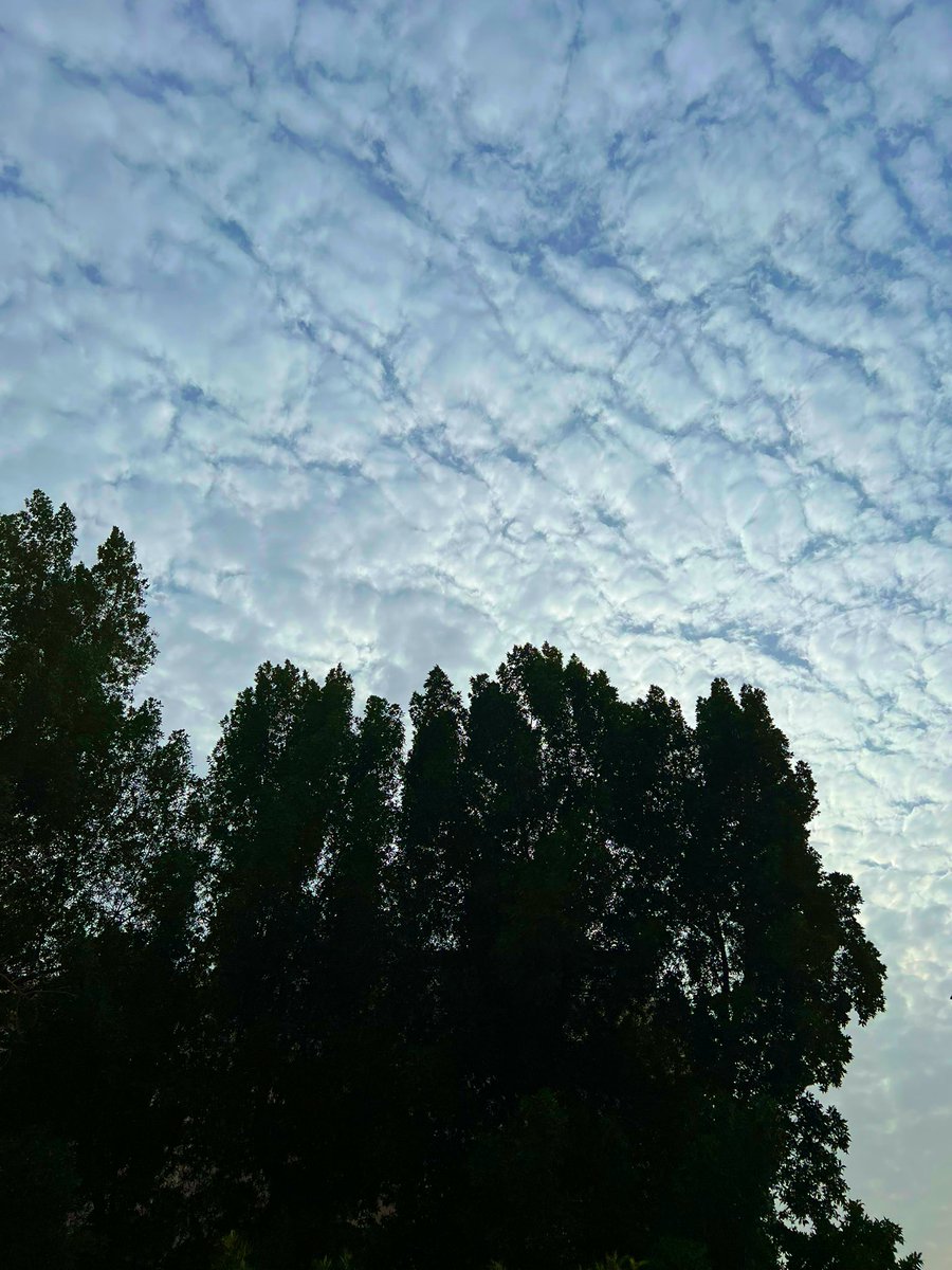 realbinkhalid's tweet photo. 4th of April was different ☁️ https://t.co/b0kwroe0ep