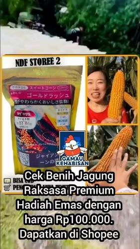 Lano Demank tweet media