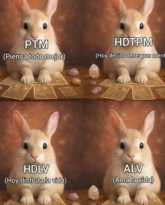 El Guarromántico tweet media