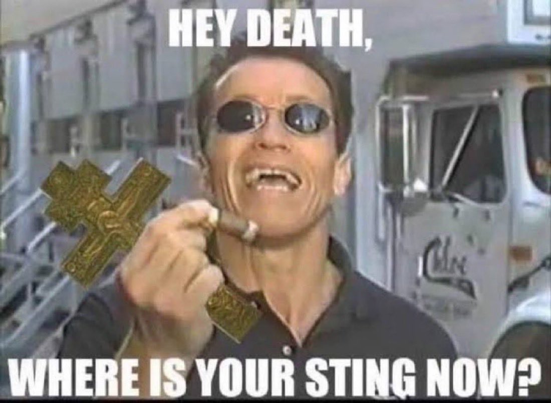 The Kitty Man tweet media