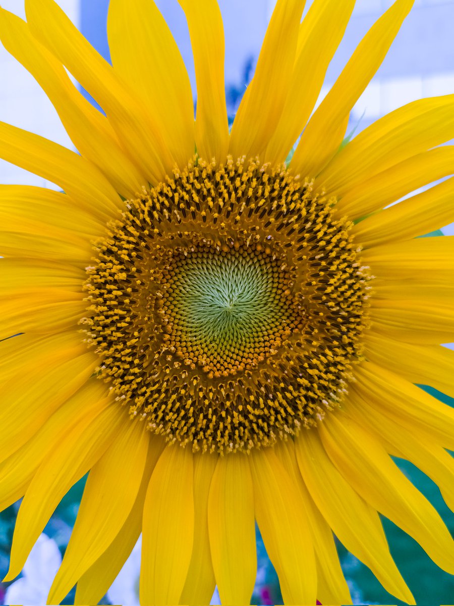 Rakan ✦ tweet media