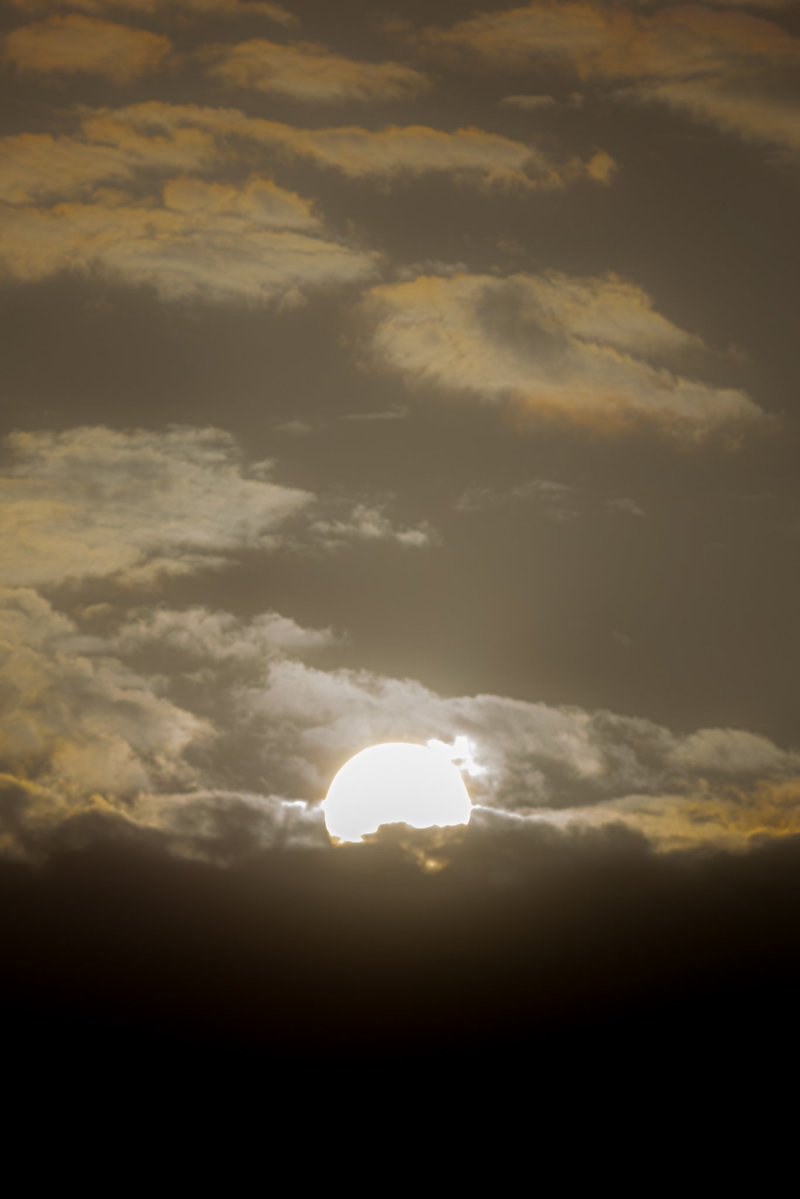 Rakan ✦ tweet media