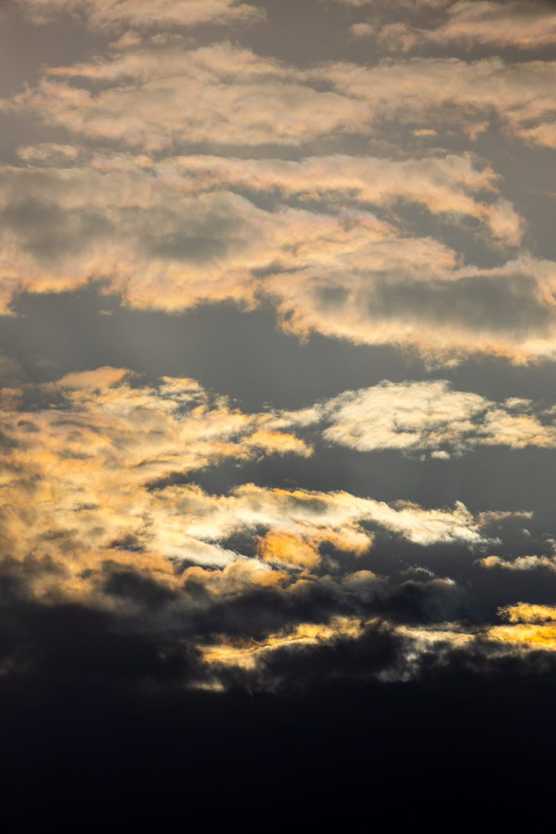 Rakan ✦ tweet media