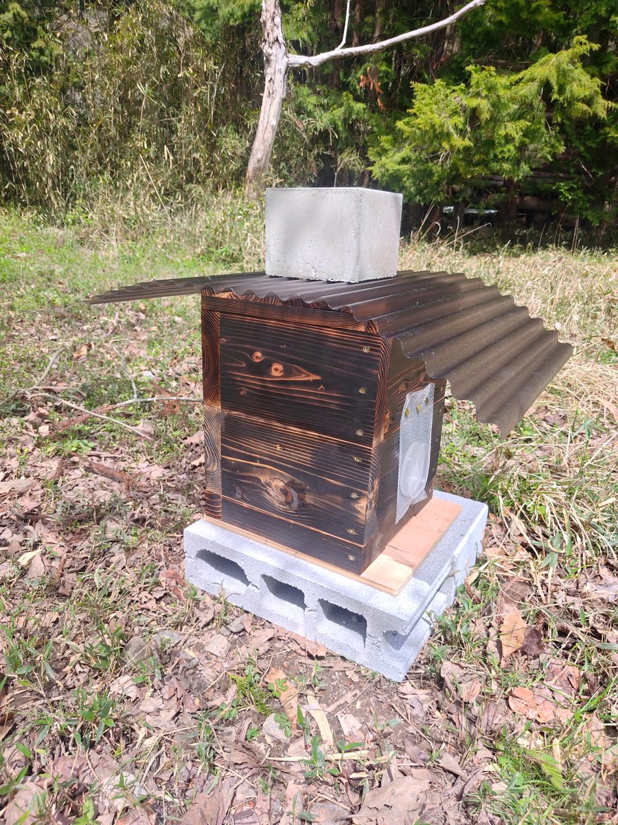 Web真左衛門|広告運用 tweet media