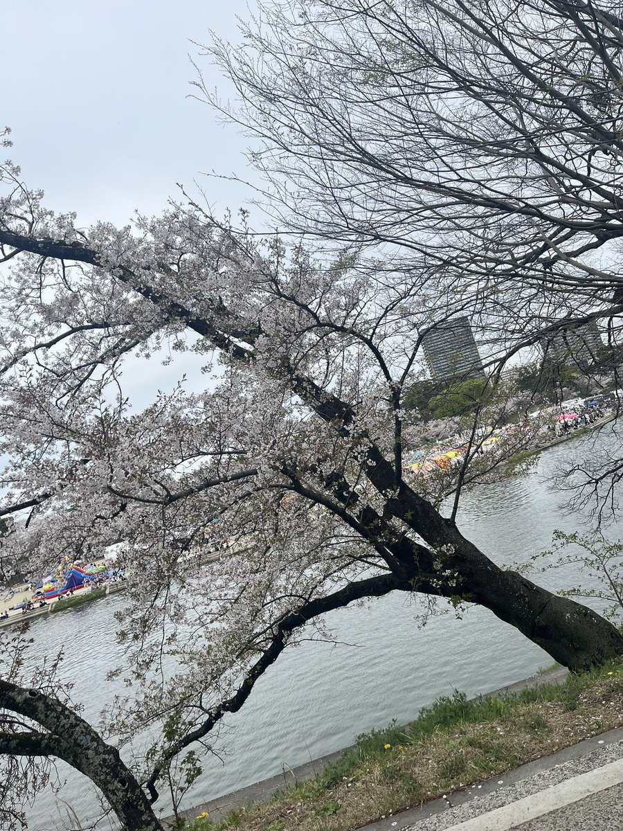 しちゃんみ☺︎ tweet media