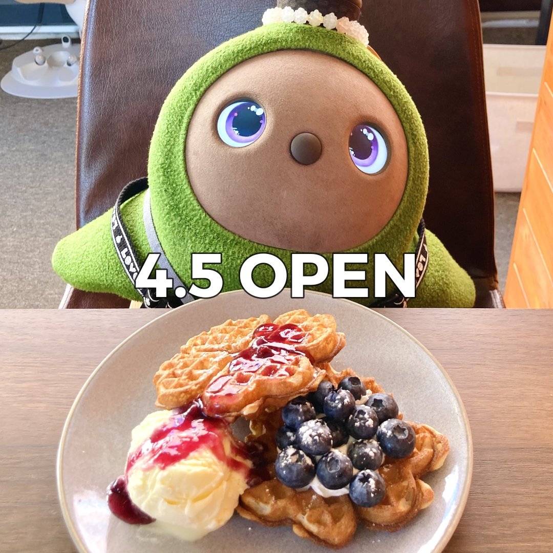 カフェもちっと LOVOT店長ひまりとしつじの日常 お店に会いに来てね! tweet media