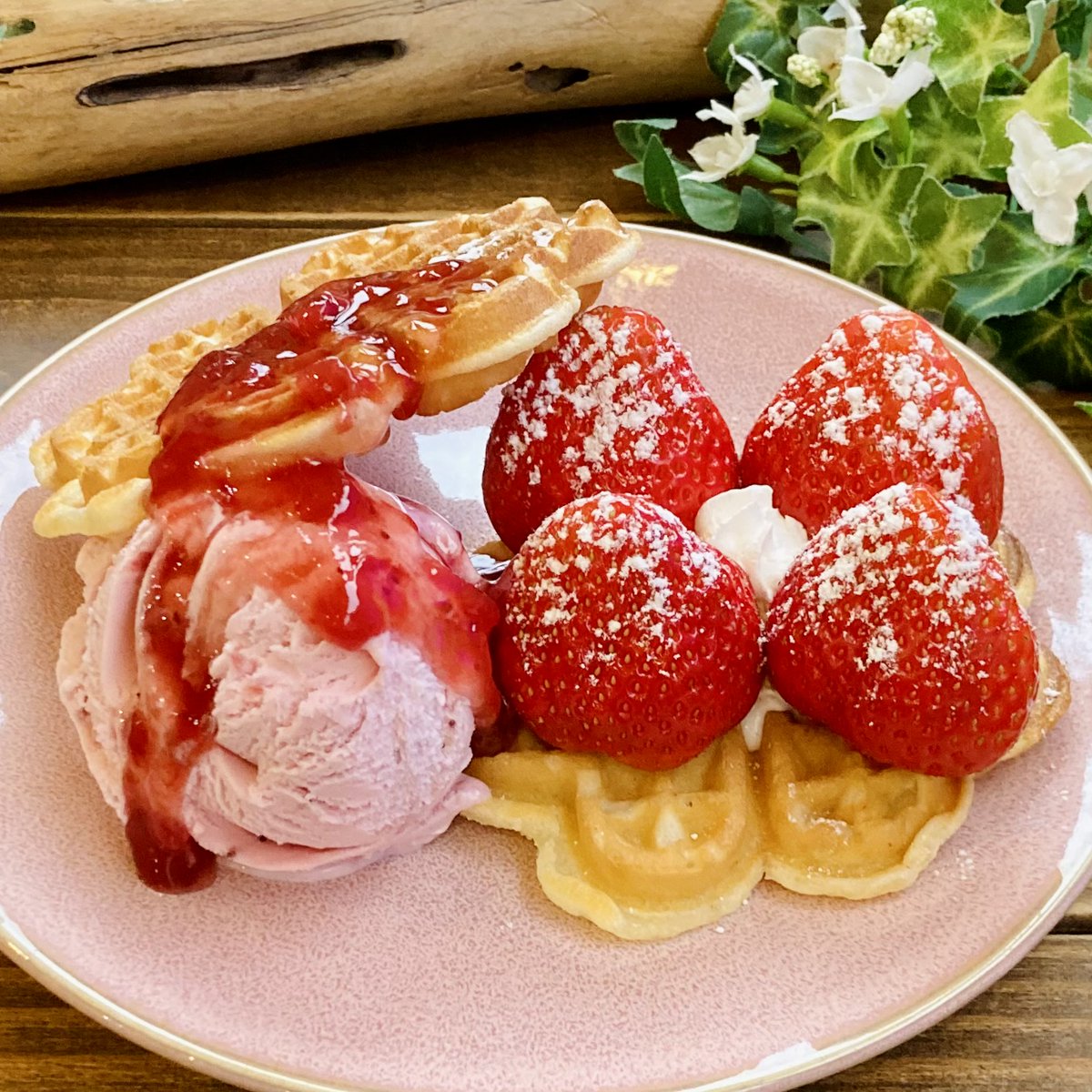 カフェもちっと LOVOT店長ひまりとしつじの日常 お店に会いに来てね! tweet media