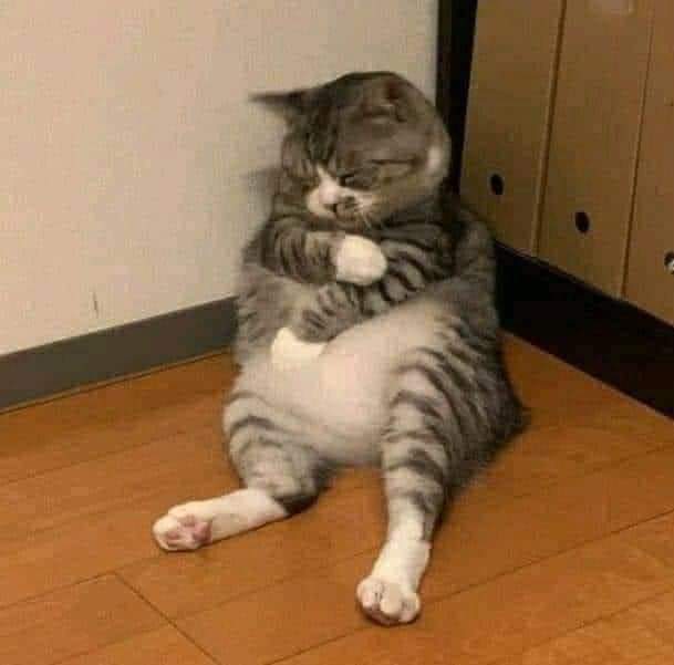 hsu eidray tweet media