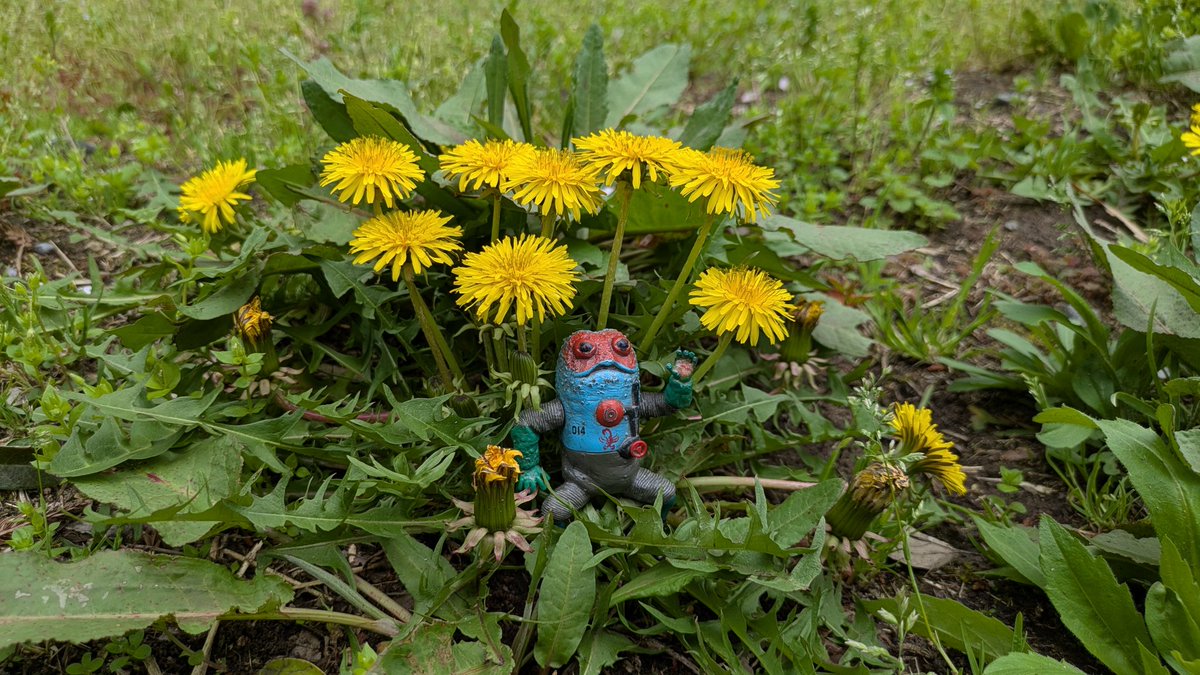 すこやかむいむい tweet media