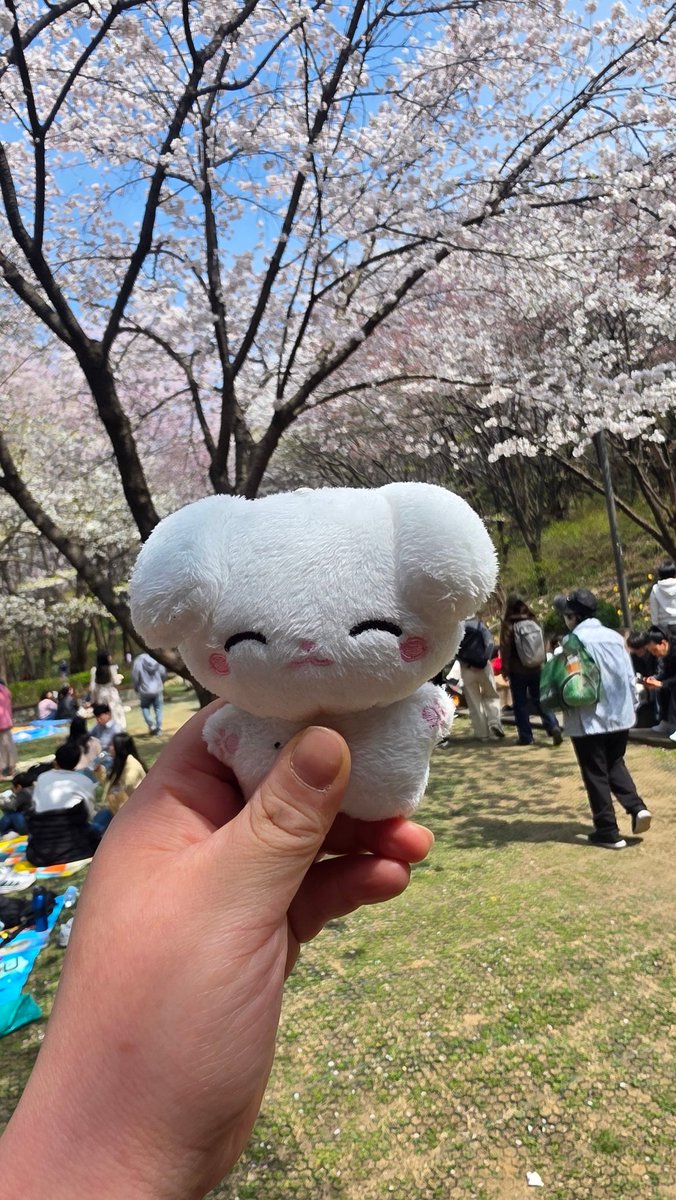 ꔌスΙ∞ tweet media