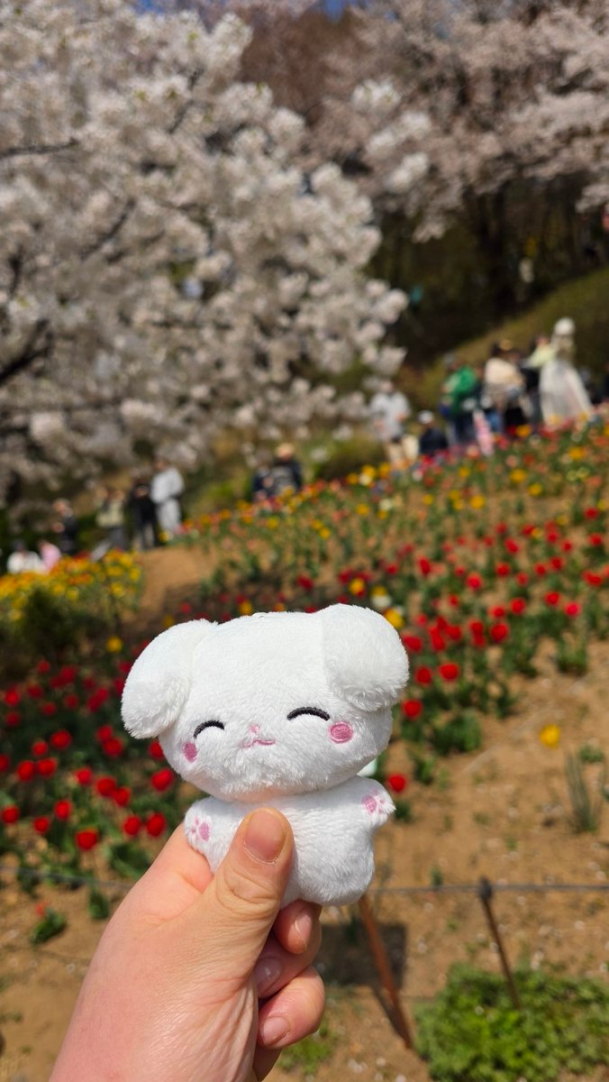 ꔌスΙ∞ tweet media