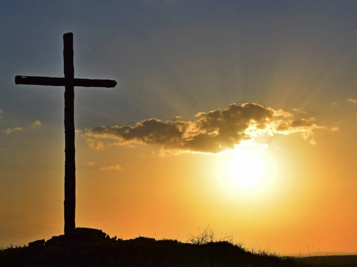 Ian Gould #cep tweet media