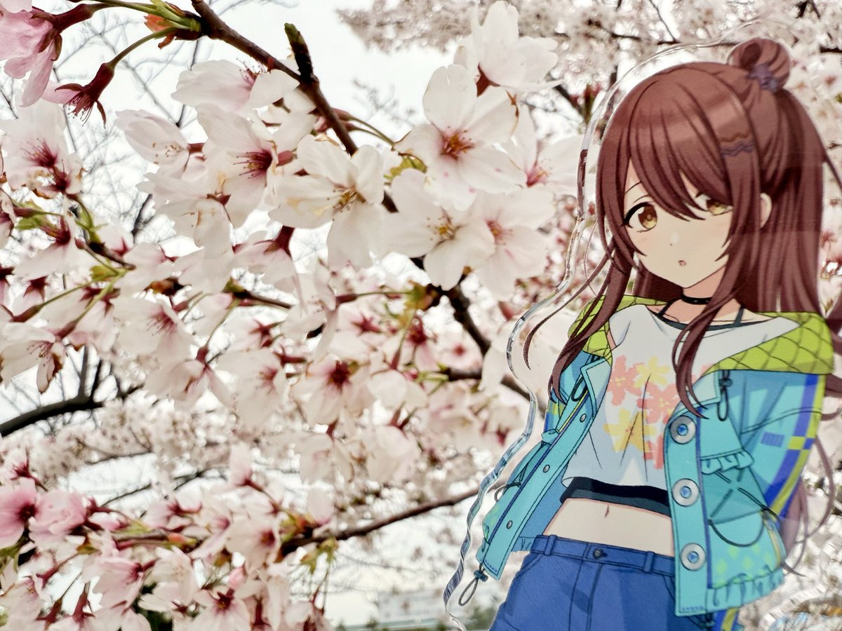 アンデ tweet media