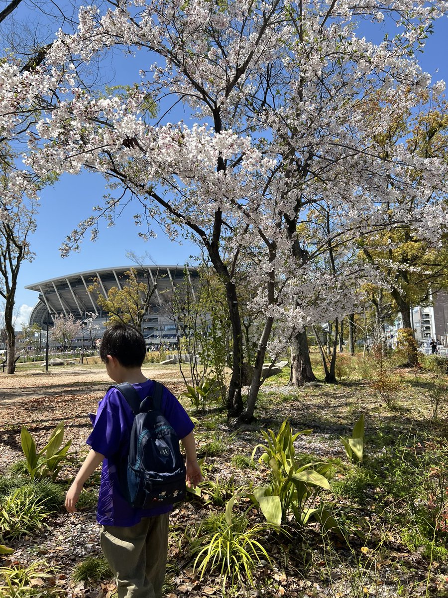 エリー tweet media