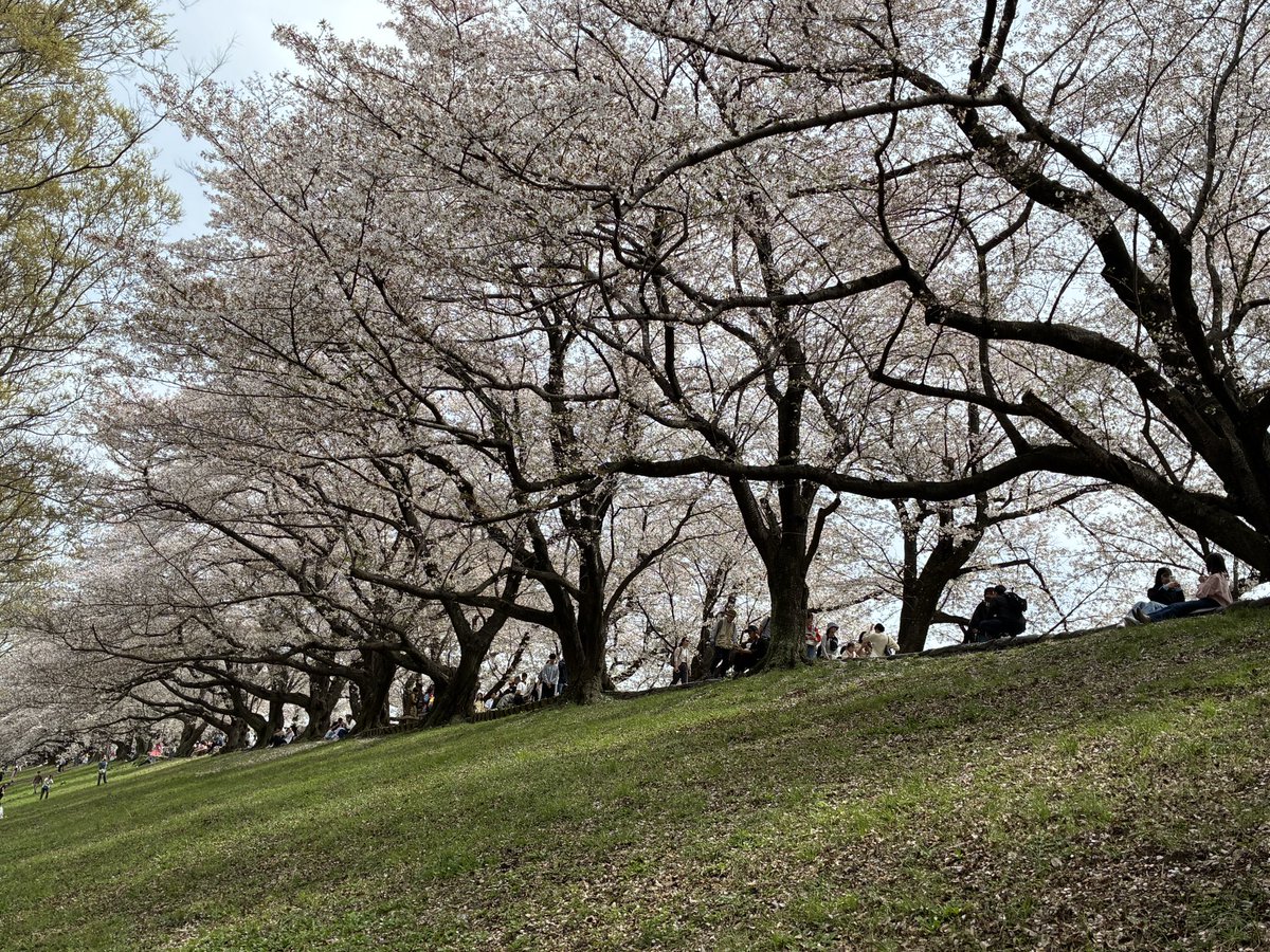 snakecat tweet media