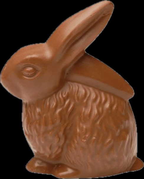 Daily object tweet media