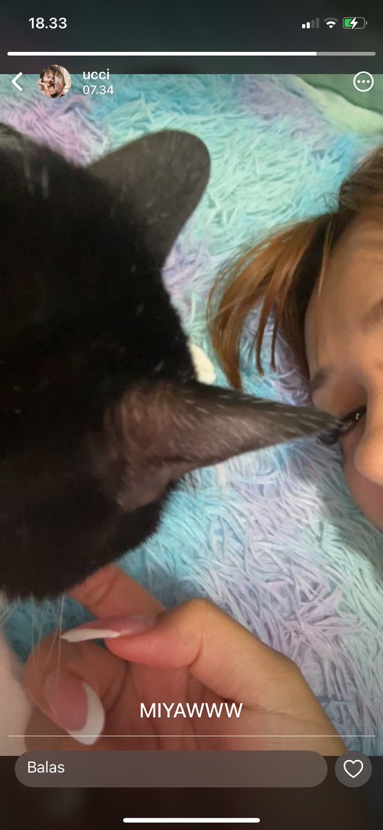 Bilaa ｡⋆୨୧˚🥃 tweet media