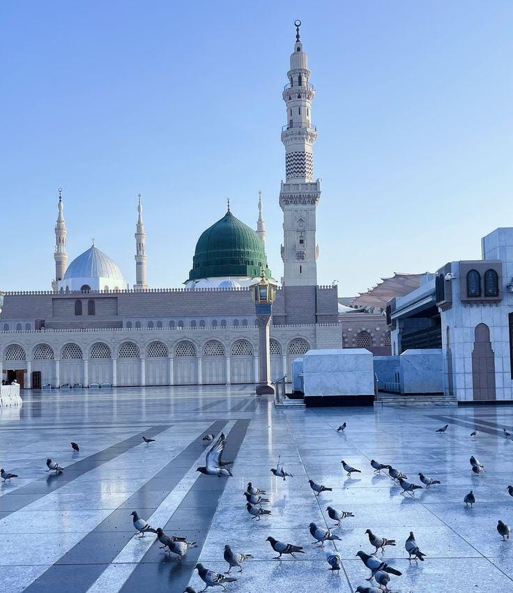 ╰☆☆ Mind Hacker ☆☆╰ tweet media