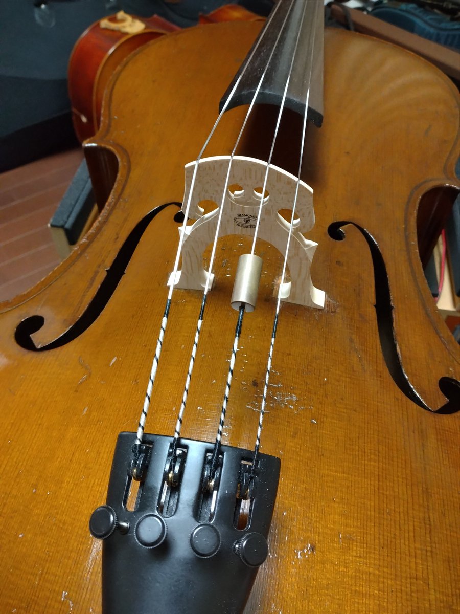 michi-cello tweet media