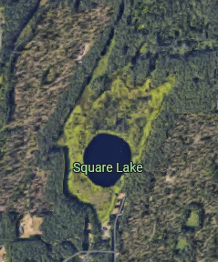 peninsular princess 🐑💫🪻 tweet media