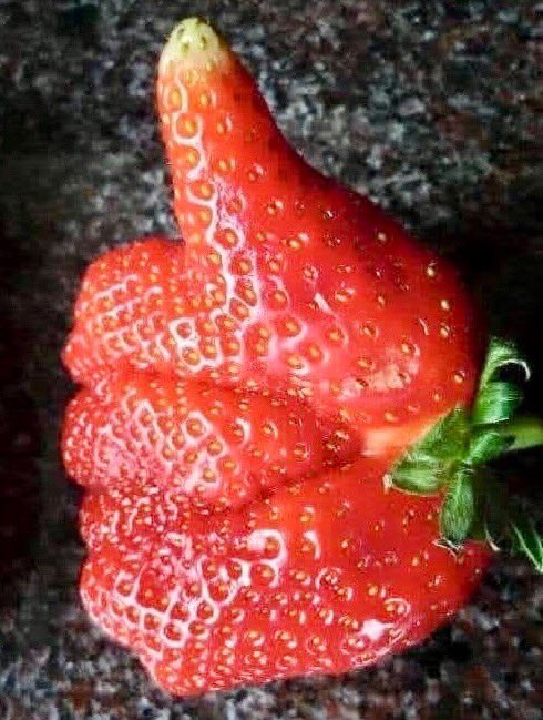 たろうまる tweet media