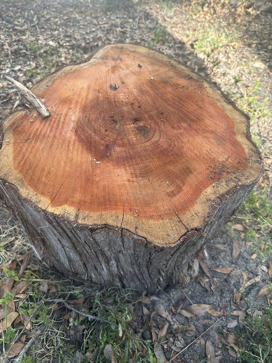 memefinder general tweet media