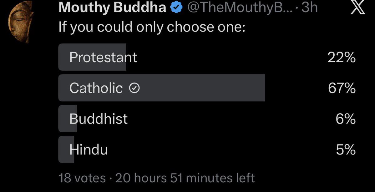 Sean 🌴 tweet media