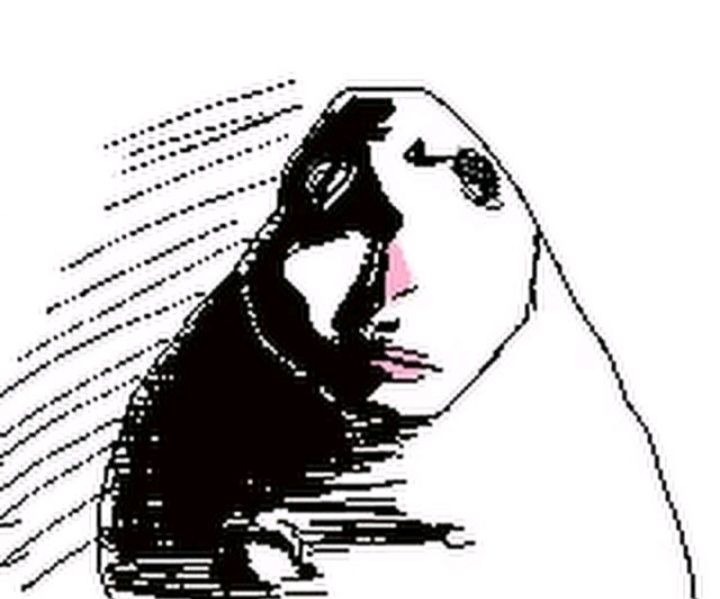 Nova💥 tweet media