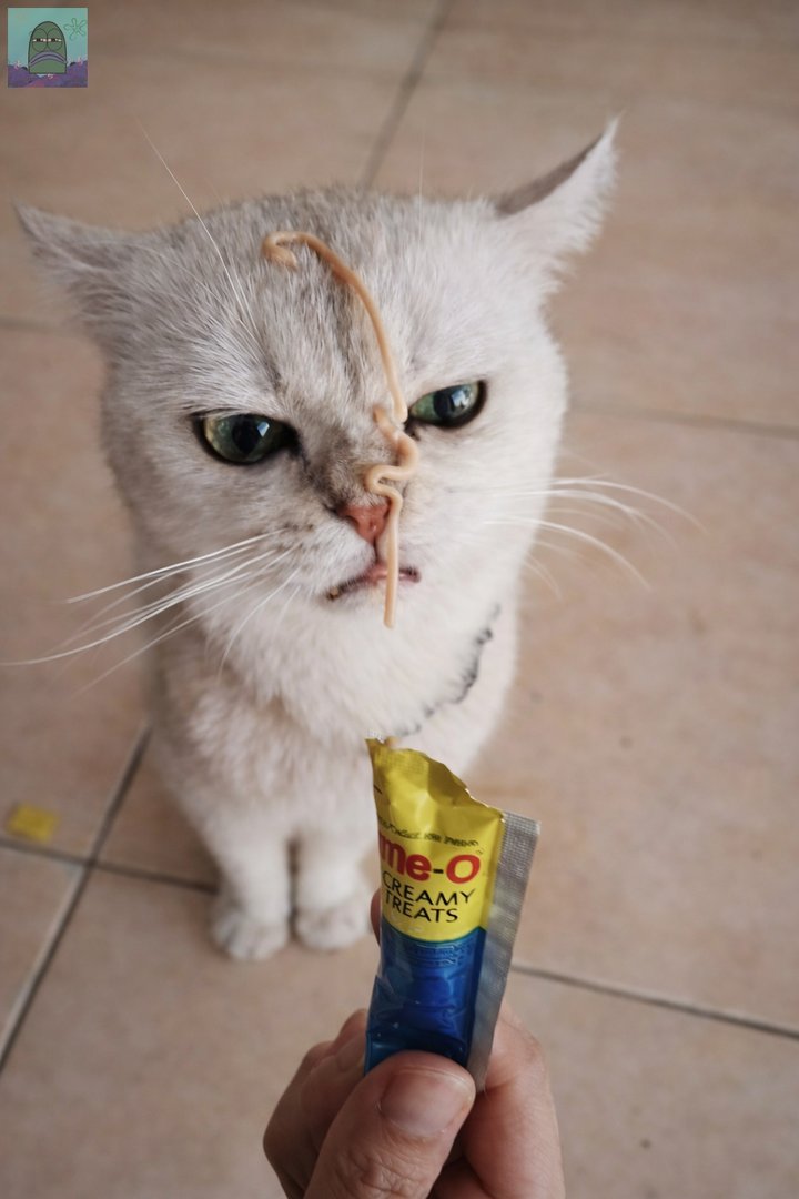 Tanyarl 💚 tweet media