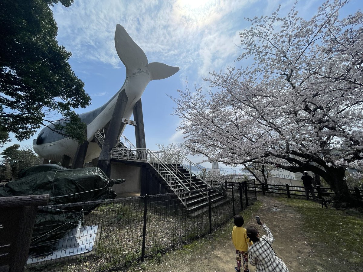 肉欲 肉欲企画 tweet media