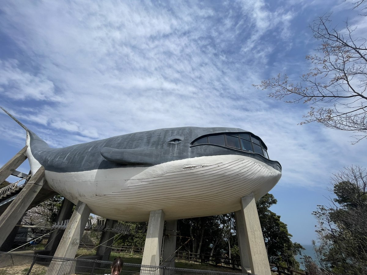 肉欲 肉欲企画 tweet media