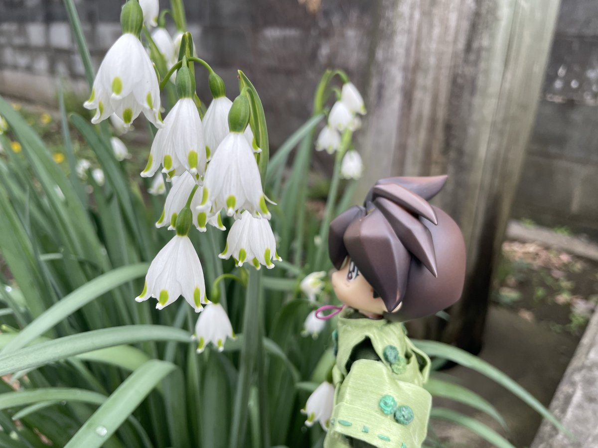 たまき tweet media