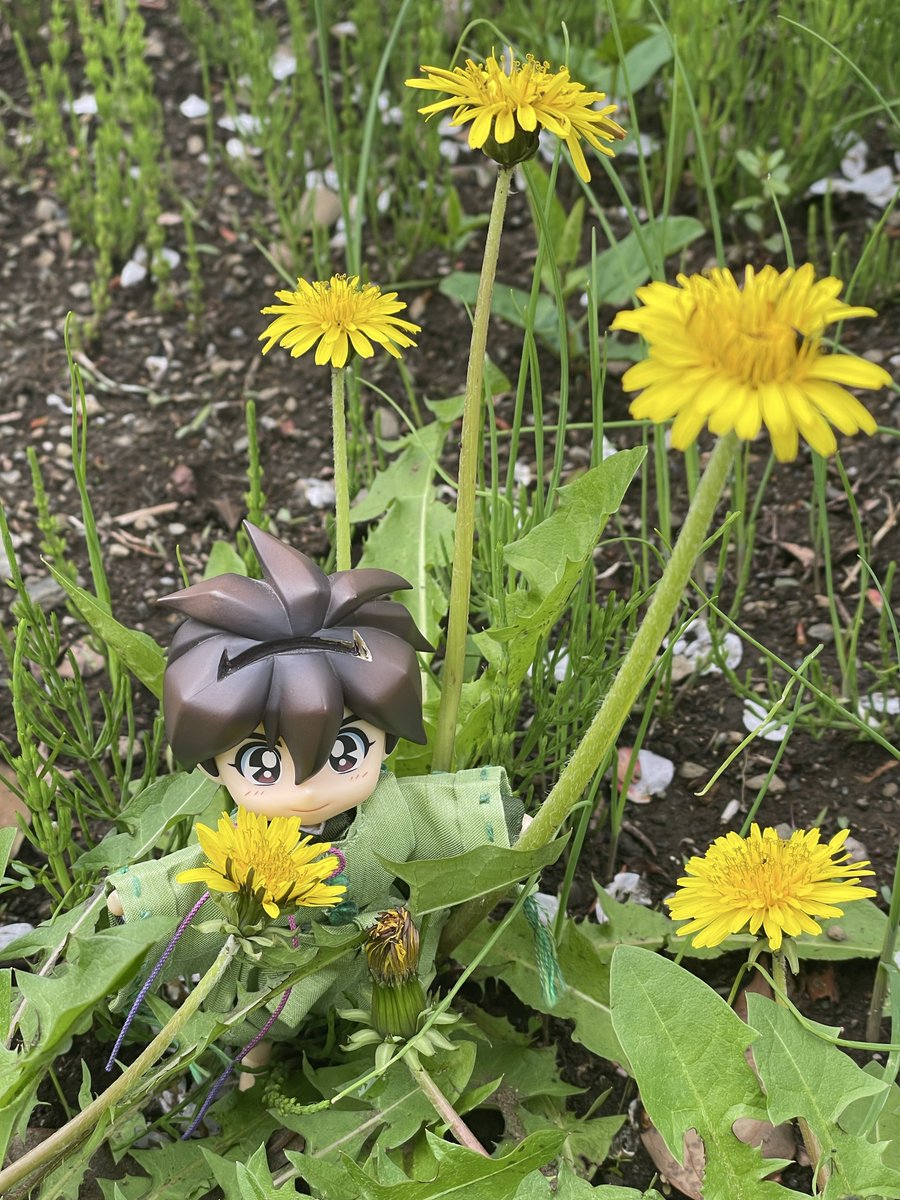 たまき tweet media