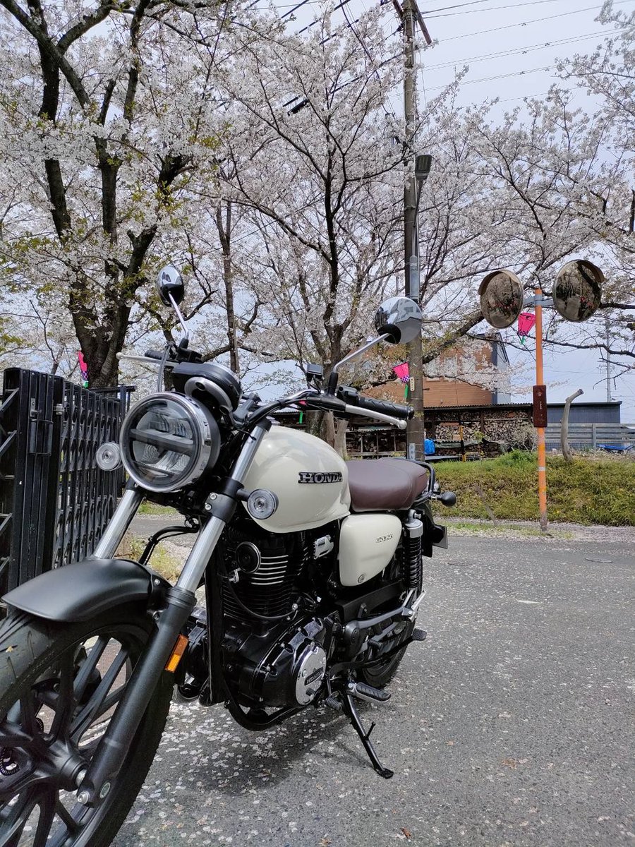 traveler🐻 tweet media