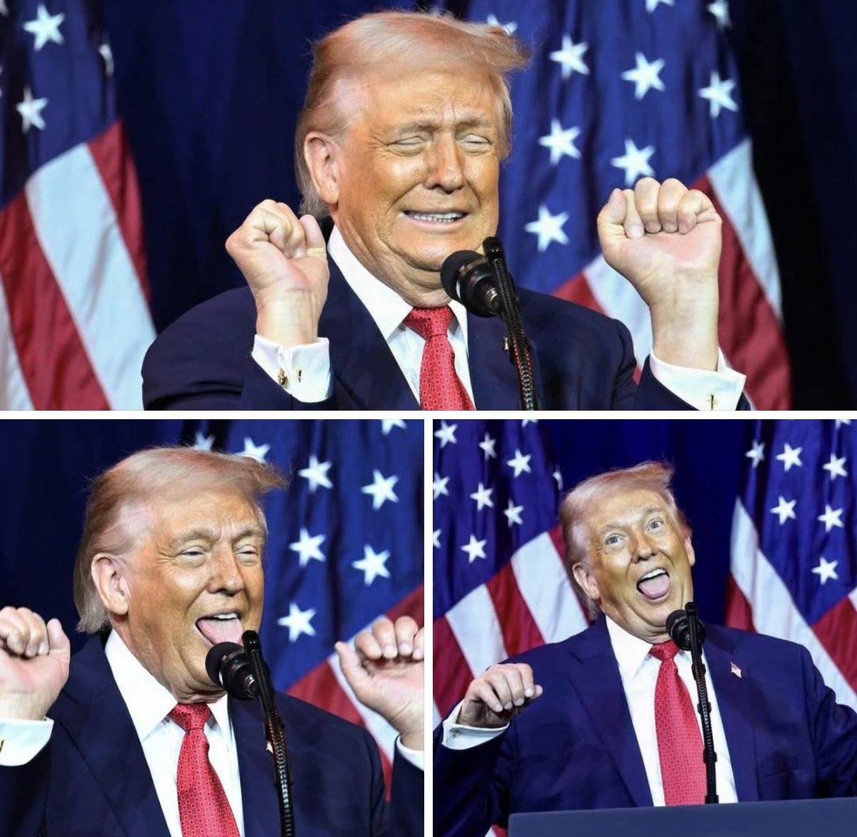 Katrin Second tweet media