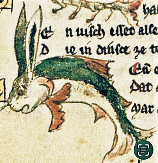 Medieval Military Medicine tweet media