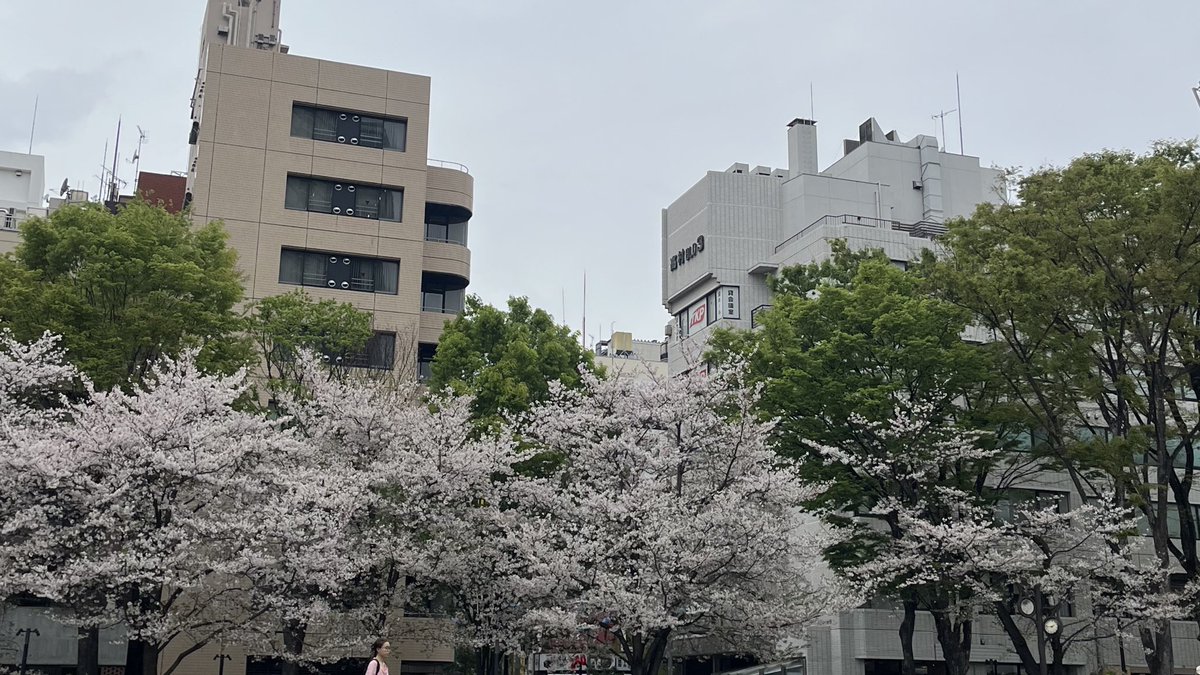 グリ┊ COMMS FULL (5/5) tweet media