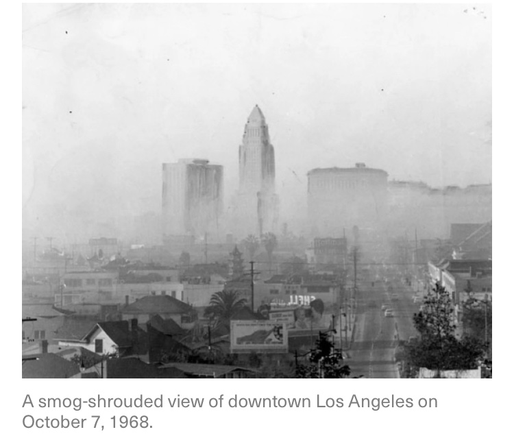 🇺🇸 tweet media