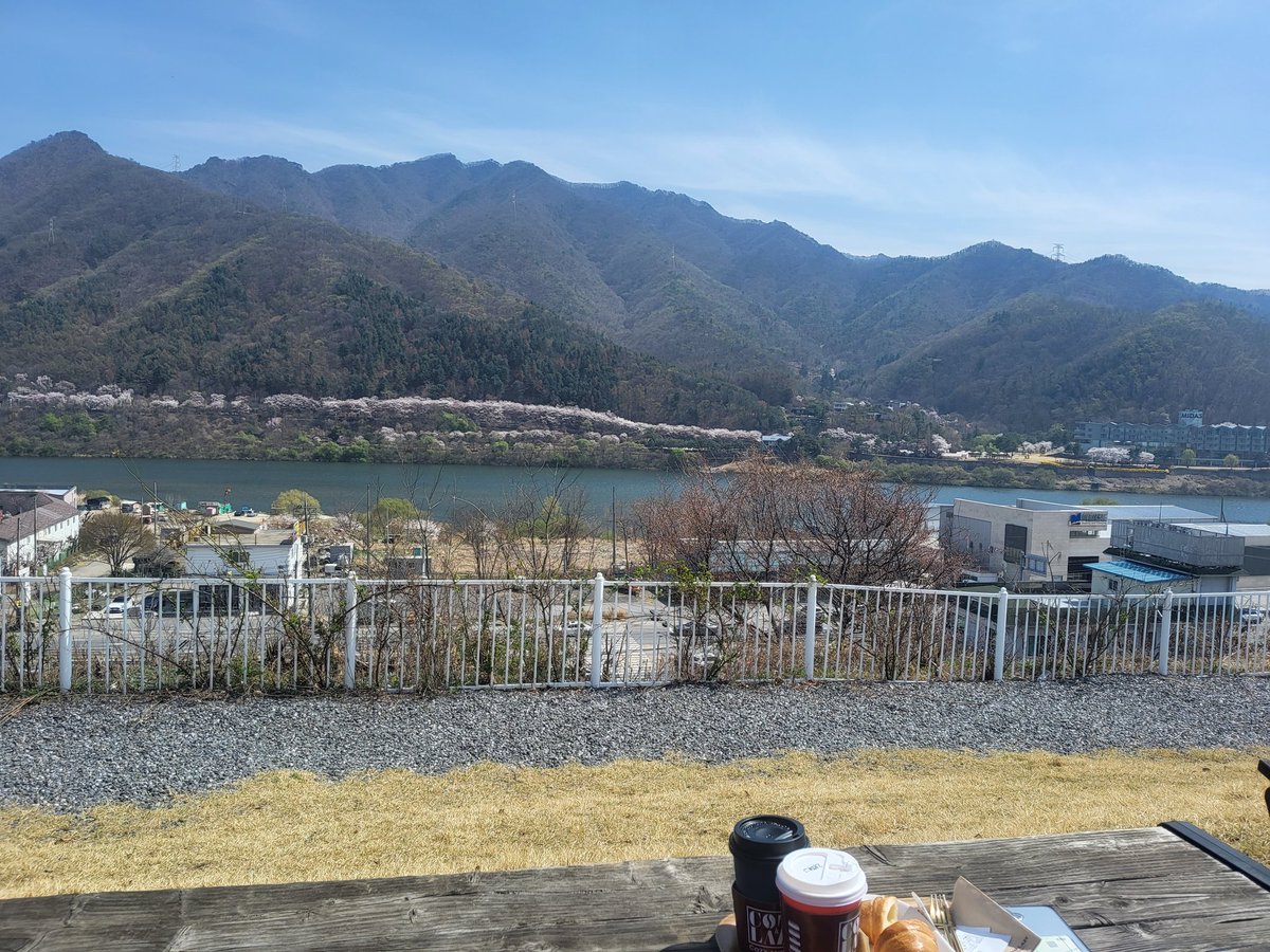 웃고살자 달고나🎗 tweet media