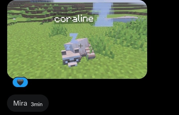 يقيقح Avril. tweet media