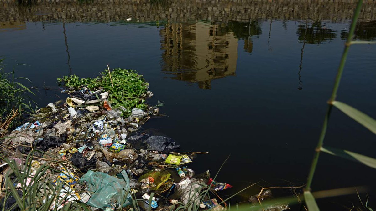 دويع العجمي tweet media